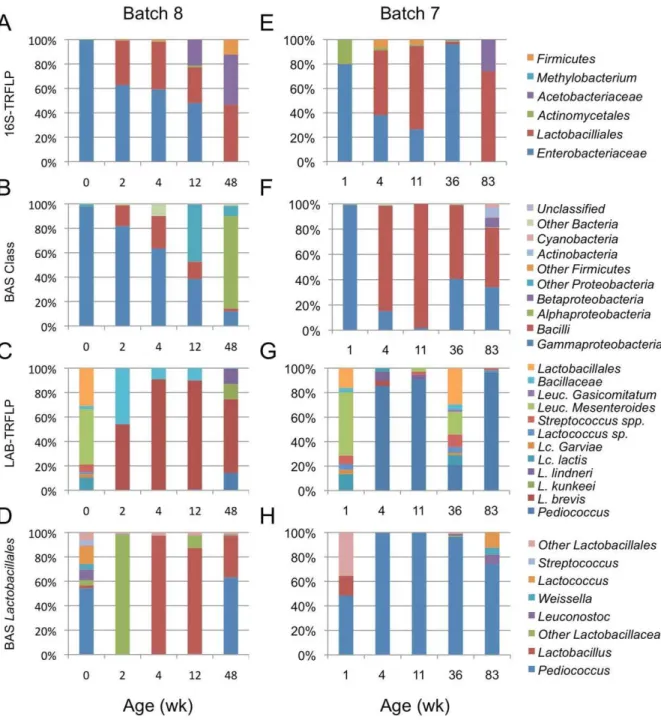 Figure 5. Parallel ACA batch comparison. Comparison of universal bacterial community structure (A,B,E,F) and Lactobacillales (C,D,G,H) in Spring batch 7 (right) and Winter batch 8 (left)