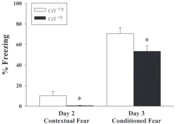 Figure 9. CrT 2/y mice have reduced contextual and emotional memory compared with CrT +/y mice