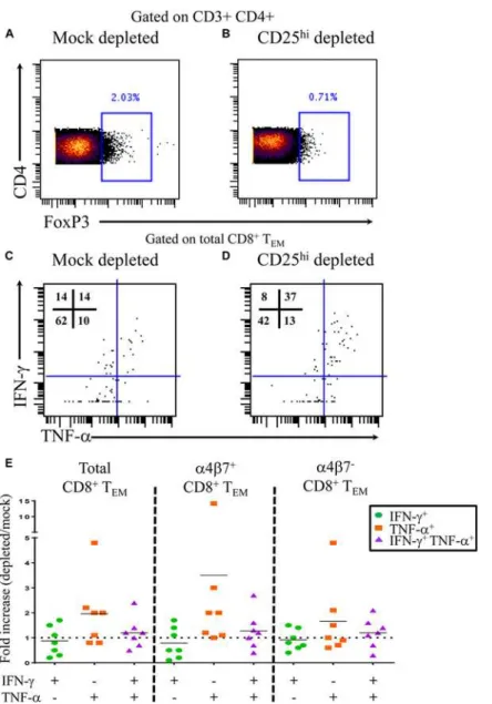 Fig 5. S . Typhi-specific cytokine production following T reg depletion. Percentage of CD4+ FoxP3+ T cells following A) mock depletion or B) CD25 depletion in a representative volunteer