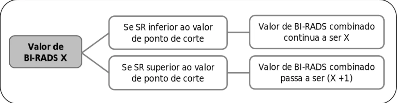 Figura 5.1 Metodologia de análise combinada de US em Modo-B e SR. 