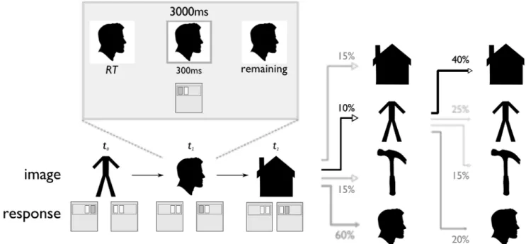 Figure 2. Choice task. Participants were asked to use their knowledge of the sequential transition structure to make decisions for reward