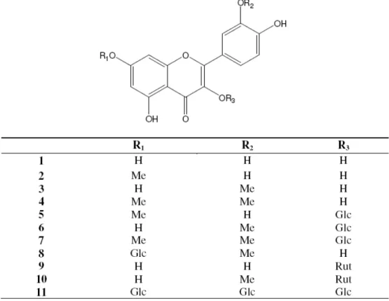 Figure 1. Isolated flavonoids 