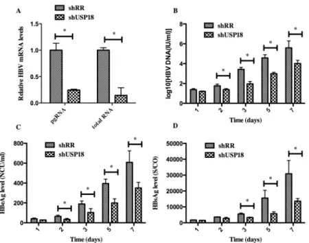 Fig 3. HBV expression was inhibited in Hepg2.2.15 cells after transfected with shUSP18 or shRR lentiviruses