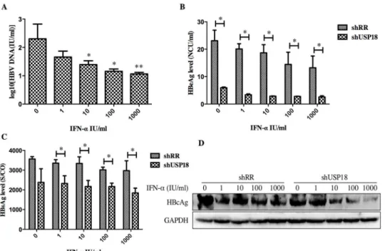 Fig 4. USP18 silencing enhances the antiviral activity of IFN- α against HBV expression in Hepg2.2.15 cells