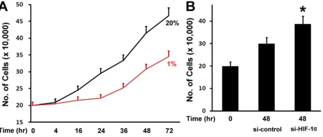 Figure 1. Hypoxia inhibits osteoblast proliferation. (A) Osteoblast number counts in the growth medium