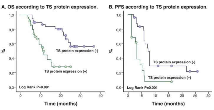 Fig 4. Kaplan Meier Curves according to TS protein expression.