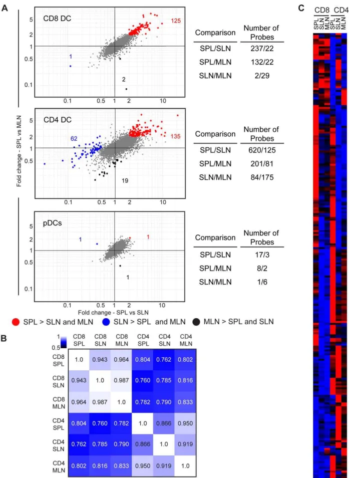 Figure 3. Identification of secondary lymphoid organ-specific differences among DCs subsets