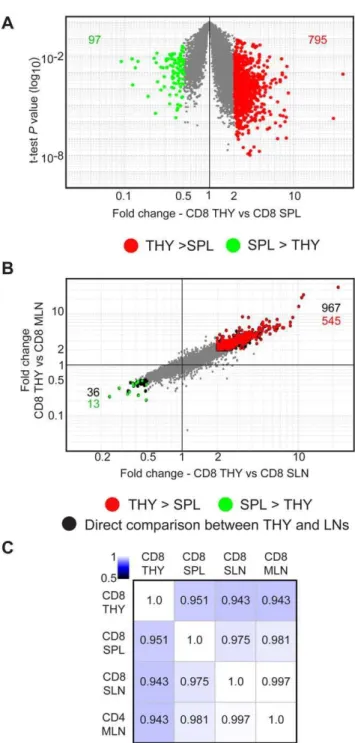 Figure 5. Comparison of gene expression profiles of CD8 DCs in the thymus and secondary lymphoid organs