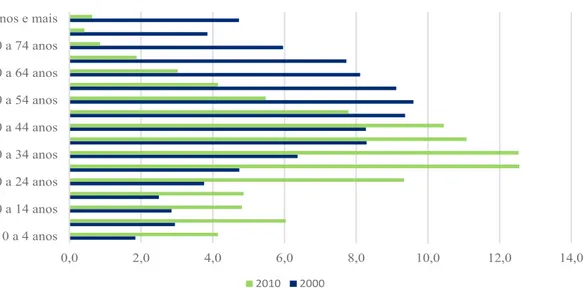 Gráfico 5 – Faixa Etária dos Imigrantes.