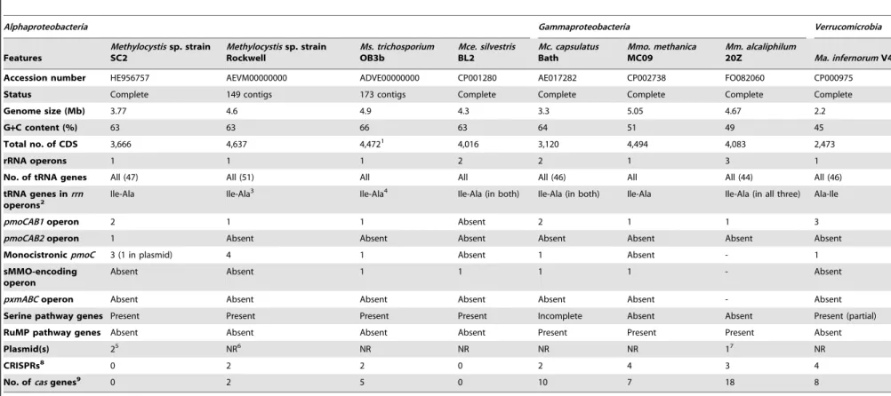 Table 1. General features identified in the genomes of the compared methanotrophs.