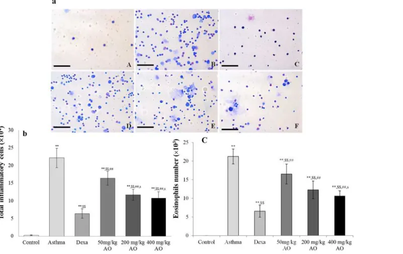 Fig 1. 16S rRNA sequences of Bacillus subtilis KCTC 11782BP.