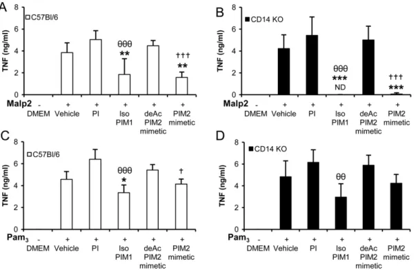 Figure 5. Inhibition of TLR2 signaling by PIM analogues is independent of CD14. Macrophages from C57Bl/6 mice (A, C) or CD14 KO mice (B, D) were incubated with synthetic PI, isoPIM 1 , deAcPIM 2 mimetic, PIM 2 mimetic (10 mg/mL) or control vehicle prior to
