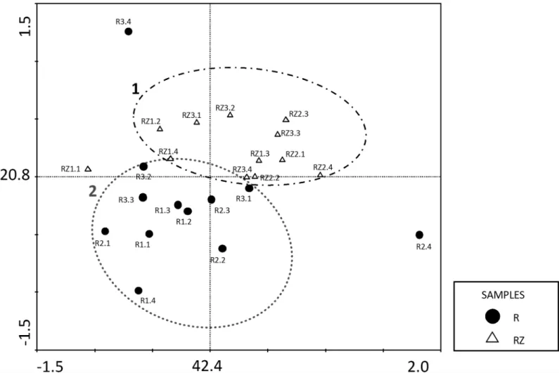 Fig 3. Principal Component Analysis (PCA) of the occurrence of the different fungus genera in the root endophytic community (● R) and the fungal rhizosphere community (Δ RZ)