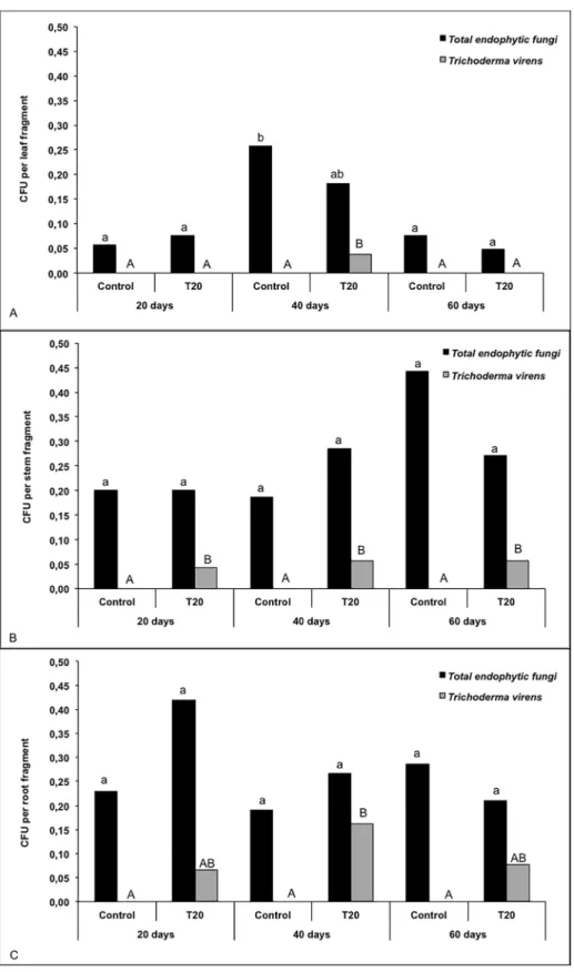 Fig 4. Isolation frequency of total endophytic fungi and T . virens strain T20 from leaves (a), stems (b) roots (c) of sugarcane plants at 20, 40 and 60 days