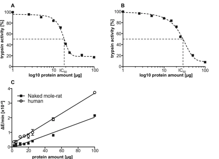 Fig 5. Anti-tryptic and proteolytic activity of NMR and human plasma. The inactivation of 0.05 μg trypsin was titrated with increasing amounts of human (A) or NMR (B) plasma corresponding to 1 – 100 μg protein and measured by the conversion of BAPNA to p-n