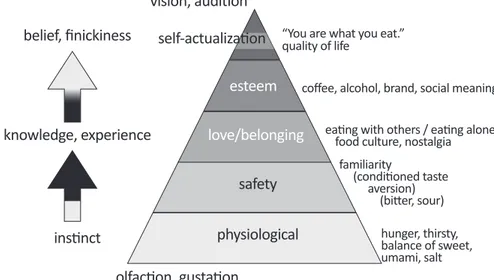 Figure 2 presents a model of human motivation for eating based on Maslow’s mo- mo-tivation theory (Maslow, 1943)