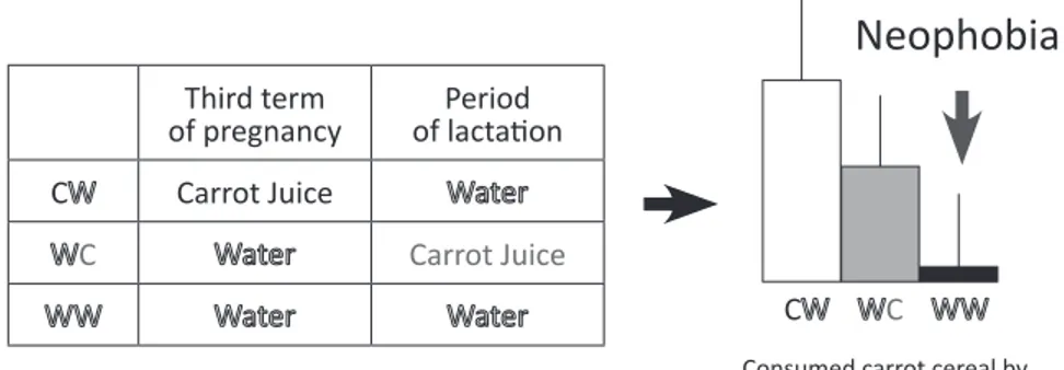 figure 3. he results of an experiment to determine the efect of food familiarity   (based on Mennela et al., 2001).