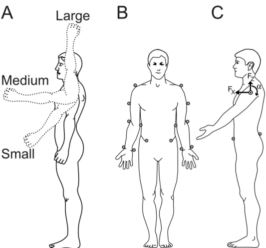 Fig 1. The experimental set-up. In (A) the three different arm movement amplitudes are illustrated with the solid arm showing the start position of all movements and the three dashed arms representing the three different end positions