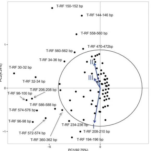 Fig 4. PCA of total occurrences of T-RFs in CF patients showing comparison among the FEV 1 groups