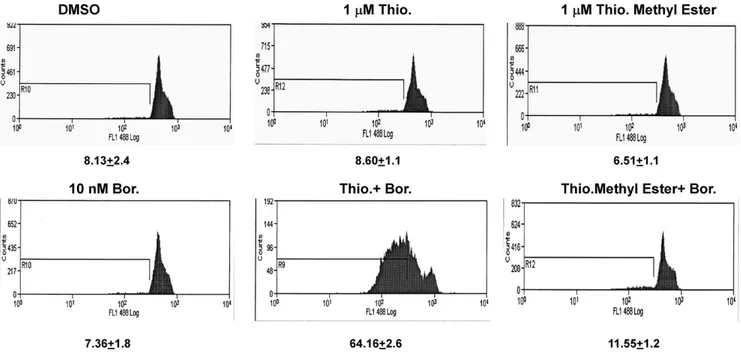 Figure 5. Thiostrepton with intact B ring potentiates chromatin condensation in vitro detection kit