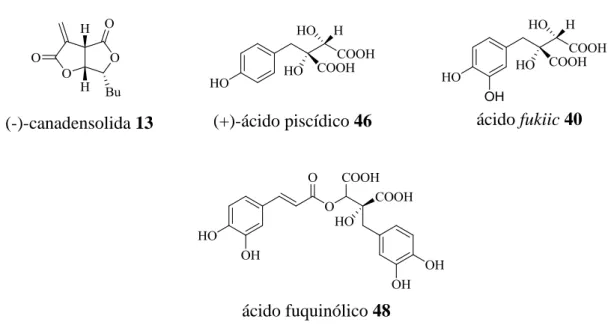 Figura 5 – Estrutura dos produtos naturais que se pretendem sintetizar. 