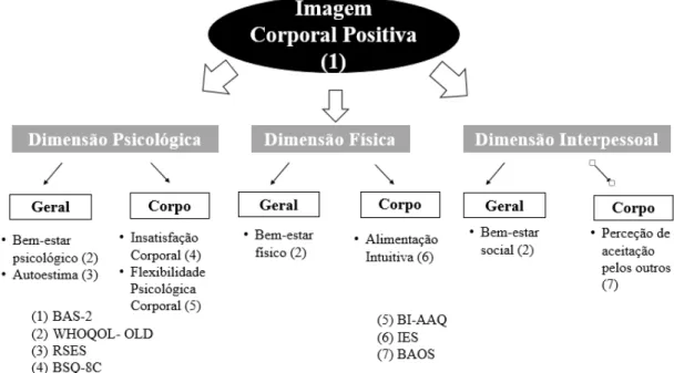Figura 1. Divisão dos instrumentos de avaliação escolhidos para o presente estudo tendo em conta os  constructos que pretendem medir e a sua relação com imagem corporal positiva