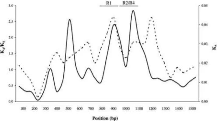 Table 2. Statistical tests for adaptive evolution indicate positive selection at the SEP53 locus.