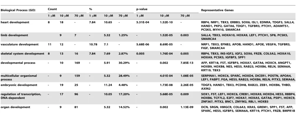 Table 2. Selected down-regulated significant (p # 0.01) GO categories after thalidomide treatment.