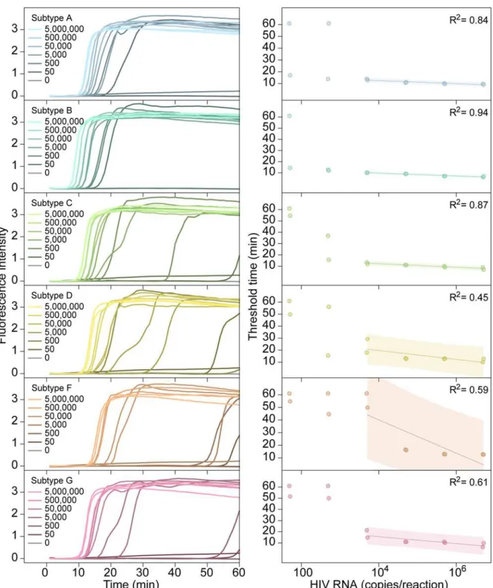 Fig 3. Performance of the AceIN-26 primer set with different starting RNA concentrations