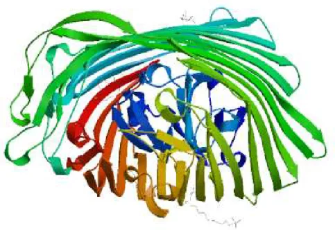 Figure 2. 3D structure of FptA 