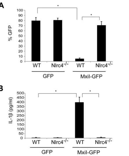 Figure 1. Expression of Shigella rod protein MxiI induces activation of the Nlrc4 inflammasome in macrophages