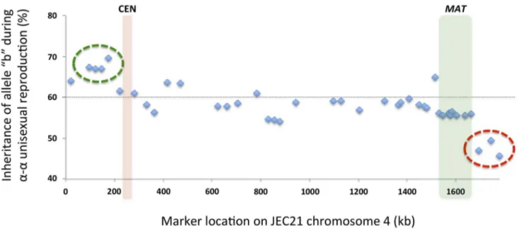 Fig. 4) of about 130 cM in size encompassing a chromosomal region of more than 900 kb (Table 2) was not present in the Marra et al