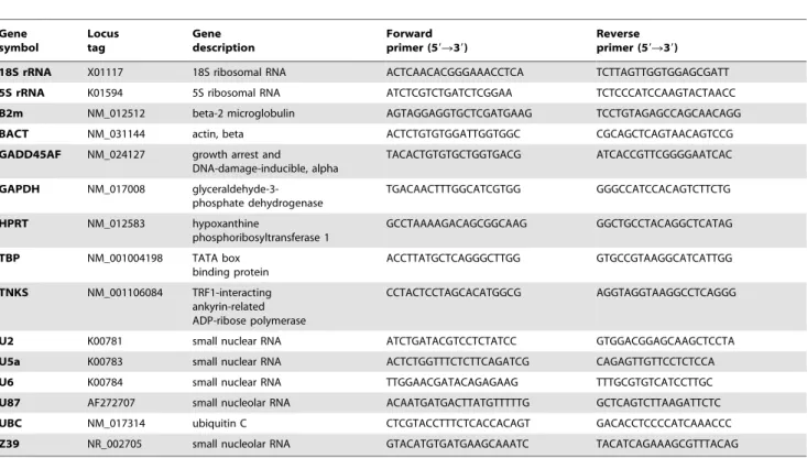 Table 1. A summary of the 15 HKG (housekeeping genes) considered as reference gene candidates in SD rats.