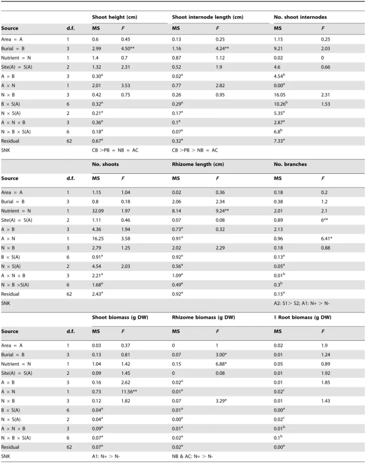 Table 1. ANOVAs for the effects of area, site, burial height, nutrient availability and their interactions on morphological and growth variables of Sporobolus virginicus clones.