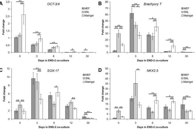 Figure 3. The expression profiles of OCT-3/4 , Brachyury T , SOX-17 and NKX2.5 in END-2 co-cultures