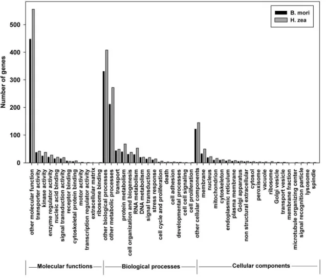 Figure 4. Comprehensiveness of H. zea transcriptome as reflected by gene ontology. Gene ontology terms (GOs) for H