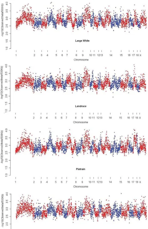Figure 3. Genome-wide variation of nucleotide diversity in the studied populations. Each dot represents the observed nucleotide variation over a window of 500 Kb.