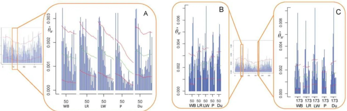 Figure 5. Variation of ^ h h W along the wild boar SSC8 and SSC7. Blue bars represent point estimates for each 500 Kb window