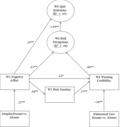 Fig 3. Model Testing the Predictions of Hypotheses 1 and 2. W3 = Week 3; W6 = Week 6. Path