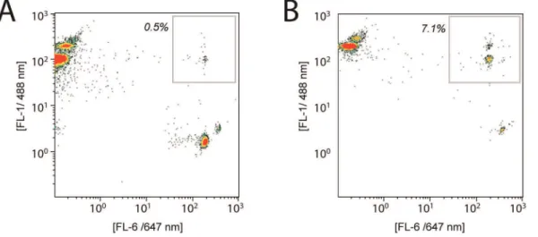 Figure 3A and 3B show typical cytometry plots in which a small population of dual-colored bead constructs are observed (gray boxes in 3A and 3B)