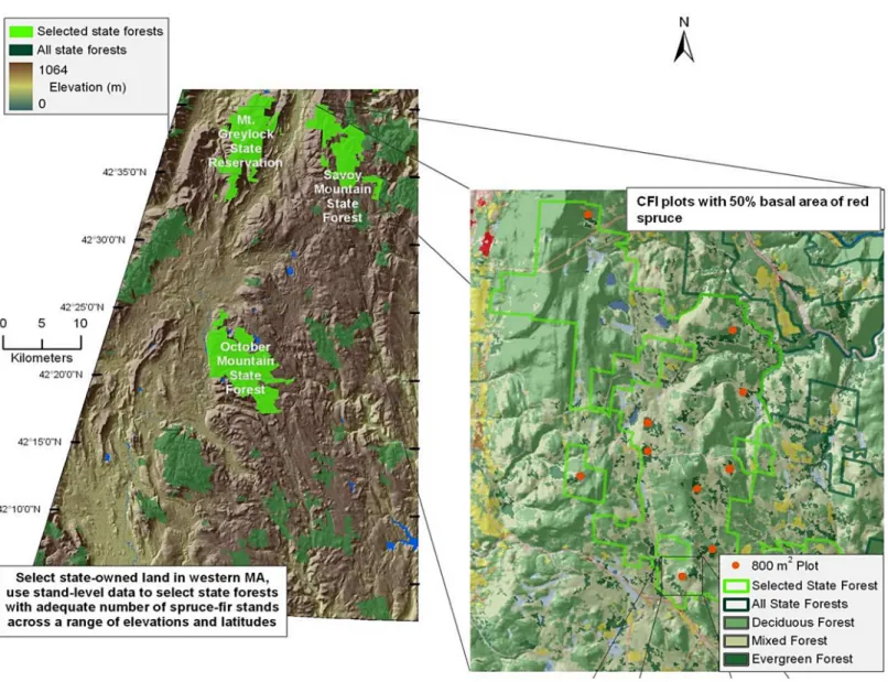Figure 1 Map of sampled forests and red spruce distribution. Map of site locations in western Massachusetts, with key forests highlighted in green.