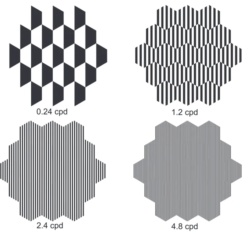 Fig 2. Spatial frequency stimuli presented to subjects 1 for mfERG. Spatial frequencies of 0.24, 1.2, 2.4 and 4.8 cycle per cpd was presented