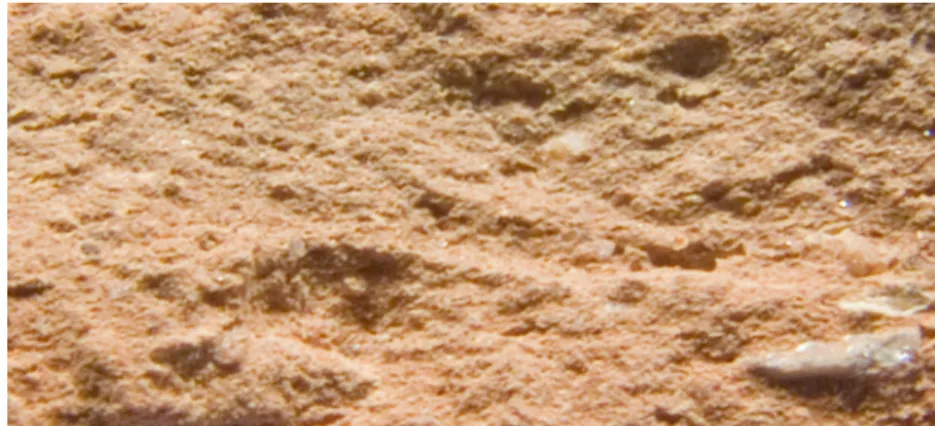 Figura 11 – Fotografia macroscópica da pasta do Fabrico Raro 1. 
