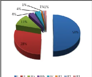 Figura 14 – Gráfico da distribuição percentual  pelos grupos de fabrico  
