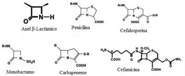 Figura 1 - Estrutura química dos antibióticos β-lactâmicos (Adaptado de Martín et al., 2010; Nordmann et al., 2012)