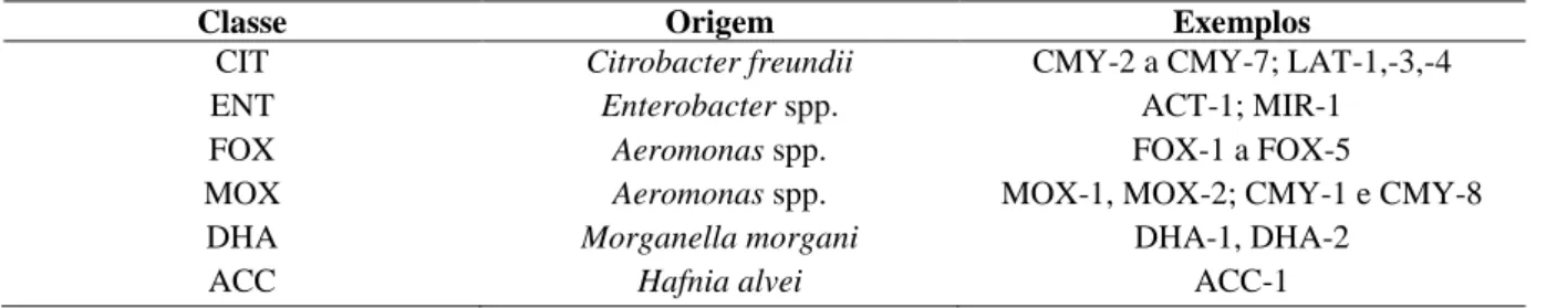 Tabela 3 - Origem de genes que codificam β-lactamases AmpC (Adaptado de Livermore e Woodford, 2006) 