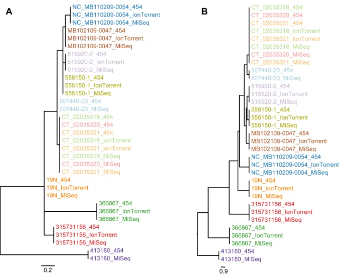 Figure 1A and 1B presents the phylogeny that was inferred by applying the entire Montevideo dataset to the novel SNP procedure and the ND method, respectively