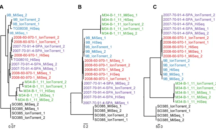 Figure 4. Staphylococcus aureus phylogeny. Labels are colored according to isolate. The sequencing platforms applied are appended to the end of each label