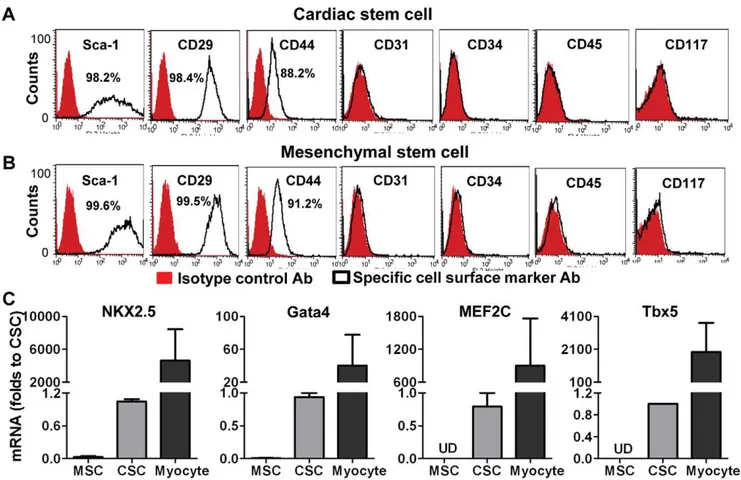 Figure 1. Identification of cardiac stem cell (CSC) characteristics. A, Flow cytometry assay indicated expression of cell surface markers in CSCs