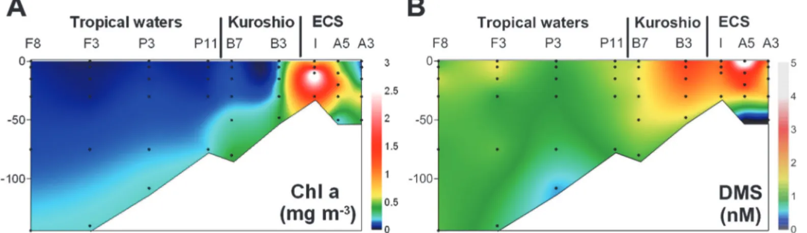 Figure 4. Contour plots showing (A) chl a and (B) DMS concentration in the NW Pacific Ocean